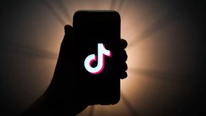 TikTok की भारत में 5 साल बाद वापसी? सरकार ने दिया ऐसा जवाब, इन्फ्लूएंसर्स को लगा तगड़ा झटका! 