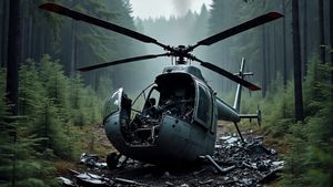 Minnesota helicopter crash: America में हेलीकॉप्टर क्रैश, विमान में सवार सभी यात्रियों की दर्दनाक मौत