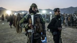 Pakistan Afghanistan Row: अफगान ने लिया बदला, मारे गए PAK आर्मी के 12 जवान, रक्षा मंत्रालय ने जारी किया बयान