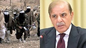 Taliban और Pakistan के बीच हुई ये कैसी सीक्रेट मीटिंग? दोहा में रातोंरात हुआ युद्धविराम, सामने आई ये अपडेट