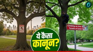 पेड़ पर चढ़े या लगाया झूला तो ₹60 लाख का लगेगा जुर्माना! इस देश में क्यों है अनोखा कानून?