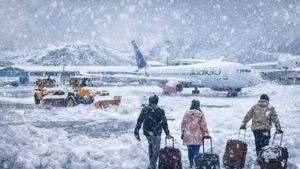 Flights Cancelled List: भारी बर्फबारी से जमा Kashmir! हजारों वाहन फंसे-58 फ्लाइट्स कैंसल-यहां देखें लिस्ट 