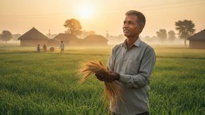 PM Kisan Yojana: बजट में किसानों को मिलेगा बड़ा सरप्राइज? 2000 की जगह अब आएगी इतनी बड़ी किस्त?
