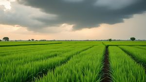 Rajasthan Aaj Ka Mausam: राजस्थान में बारिश और ओलों का अलर्ट किसानों को देगा टेंशन! IMD अपडेट है डराने वाला