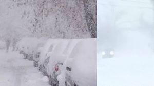 US Winter Storm 2026: अमेरिका में बर्फीले तूफान से तबाही, 29 मौतें और 6 लाख घरों की बिजली गुल