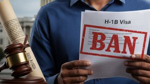 American Visa: अमेरिका में खत्म होगी भारतीयों की नौकरी? H1B वीजा खत्म करने के लिए संसद में बिल पेश