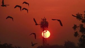 Delhi-NCR Weather: मार्च से पहले ही जून वाली तपिश! दिल्ली में कब होगी बारिश? अगले 5 दिनों के लिए IMD का अलर्ट!
