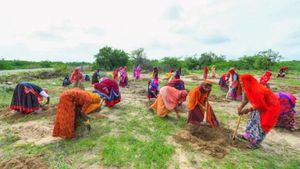 परिसीमन के बाद मध्य प्रदेश विधानसभा ने विधानमंडलों में महिलाओं के लिए 33% आरक्षण को मंजूरी दी