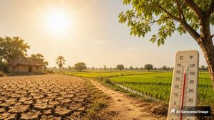 Bihar Heatwave: भीषण गर्मी के बीच बिहार में सूखे की टेंशन! 10 साल के आंकड़ों ने डराया, कब आएगा इस बार मानसून?