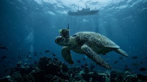 China Spy Turtle: चीनी जहाजों की जासूसी! कछुए-मछलियों पर डिवाइस लगाकर छोड़े, कौन कर रहा खुरापात?