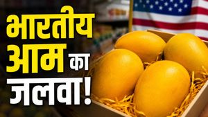 Indian mangoes in USA: 1900 रुपये में 4! इस देश में भारतीय आम की मची लूट, खरीदने के लिए लोगों की भारी भीड़