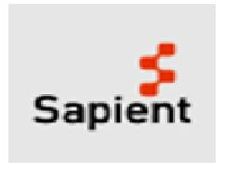 Sapient slashes 500 employees