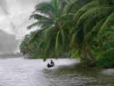 South-West monsoon hits Kerala 7-days ahead