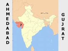 Ahmedabad: Dumped foetuses were specimens