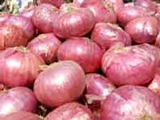 Madhya Pradesh CM's wife takes loan to buy onions