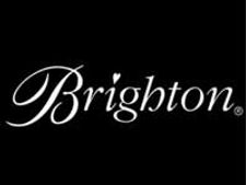 Brighton to invest Rs 2,880 cr in AP's Vizag dist