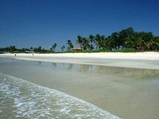 Goa: Scottish tourist drowns at Benaulim beach 