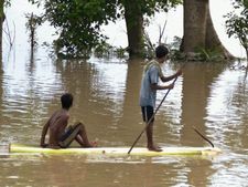 Assam floods: People, wildlife, agriculture badly affected