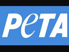 PETA urges to avoid meat during Christmas