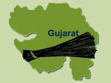 AAP wave in south Gujarat as thousands join anti-corruption movement
