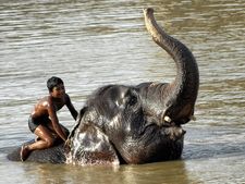 Five die in Odisha heat wave