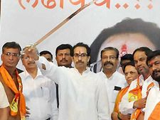 Sena chief Uddhav Thackeray asks Sharad Pawar not to 'bully' him