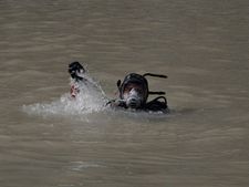 Beas tragedy: High-tech device effective, but finds no bodies