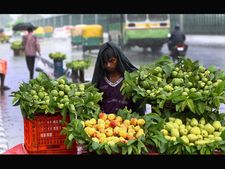 El Nino could hit Indian agriculture this monsoon