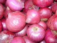 Odisha to launch Onion Mission; to give loans,seeds to farmers
