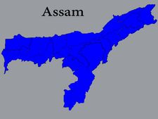 Jawan injured in ambush in Assam