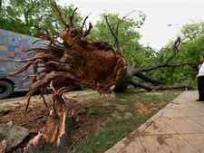 Hudhud effect: Odisha to supply 1 lakh litre milk to cyclone hit AP