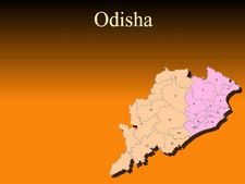 Odisha-born entrepreneur chosen for Senate election in Georgia