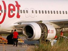 Buffalo on the runway: DGCA orders inquiry into SpiceJet aircraft mishap at Surat airport