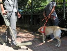 Another bomb hoax call keeps Gurgaon police on its toes for the second day 