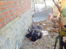 Sopore: Security personnel cordon off building, kill 2 militants