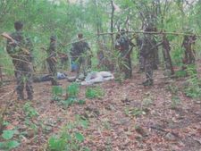Red sanders encounter: AP govt says no human rights violation