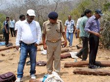 Red sandalwood smuggling: How the kingpin ran his racket?