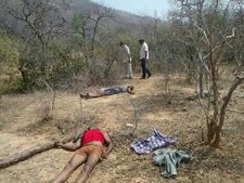Chinese national arrested in AP red sanders smuggling case