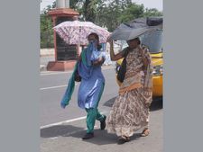 Heat wave continues in Andhra, Telangana, toll crosses 2,200