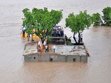 81 die in Gujarat after heavy rainfall lashes the state