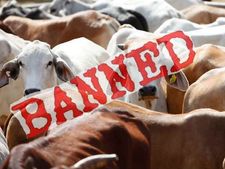 VHP demands ban on beef in Jharkhand