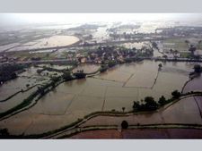 Andhra Pradesh: Heavy rains leave a trail of death & destruction