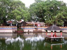 Puttur temple row- I always saw myself as an Indian officer, says DC Ibrahim
