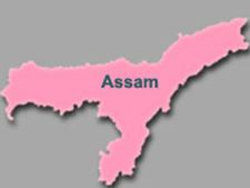 11 killed in landslides in Assam