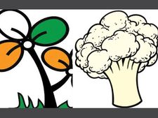 Kerala election: Trinamool gets cauliflower as poll symbol