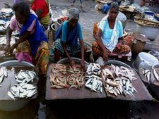 Baby Marine Seafood to venture outside Kerala