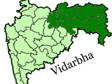 Protest outside Nitin Gadkari's house over separate Vidarbha