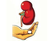 Hyderabad: International kidney racket busted, 3 held