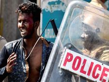 Jallikattu: Madras HC seeks report on police crackdown