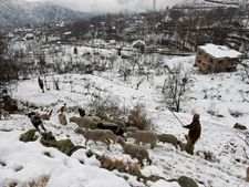 Jammu-Srinagar highway opens partially
